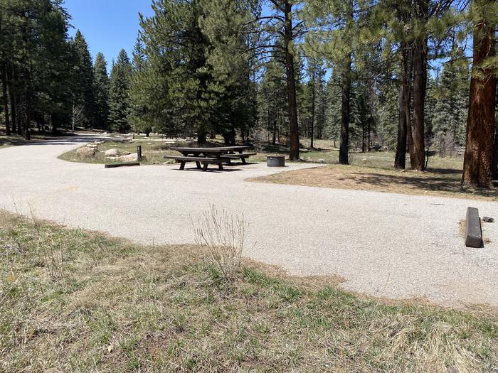 A photo of Site 001 of Loop Loop 1 at CLEAR CREEK CAMPGROUND (NM) with No Amenities Shown