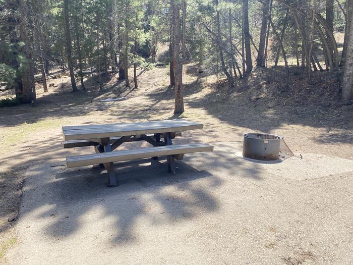 A photo of Site 009 of Loop Loop 2 at CLEAR CREEK CAMPGROUND (NM) with Picnic Table, Fire Pit