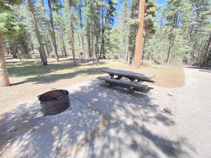 A photo of Site 008 of Loop Loop 2 at CLEAR CREEK CAMPGROUND (NM) with Picnic Table, Fire Pit