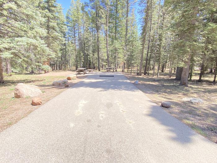A photo of Site 005 of Loop Loop 2 at CLEAR CREEK CAMPGROUND (NM) with Picnic Table, Fire Pit