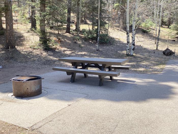 A photo of Site 011 of Loop Loop 2 at CLEAR CREEK CAMPGROUND (NM) with Picnic Table, Fire Pit