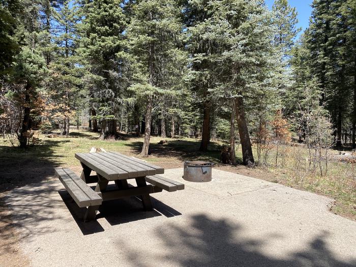 A photo of Site 004 of Loop Loop 2 at CLEAR CREEK CAMPGROUND (NM) with Picnic Table, Fire Pit
