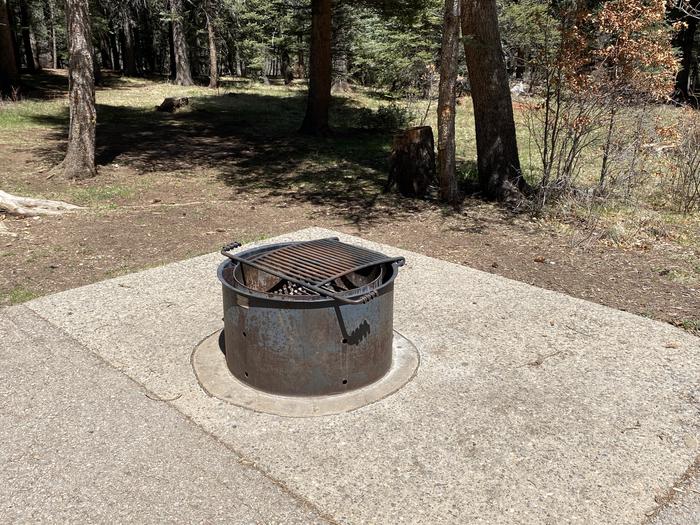 A photo of Site 004 of Loop Loop 2 at CLEAR CREEK CAMPGROUND (NM) with Fire Pit