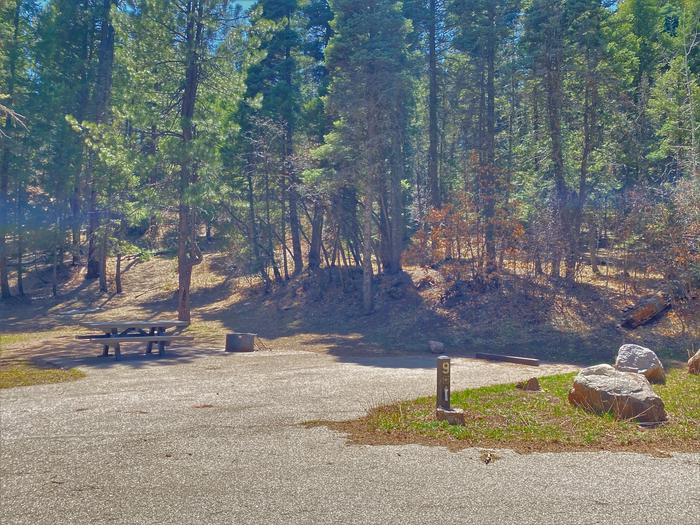 Site 9 with a picnic table, fire ring, and parking.