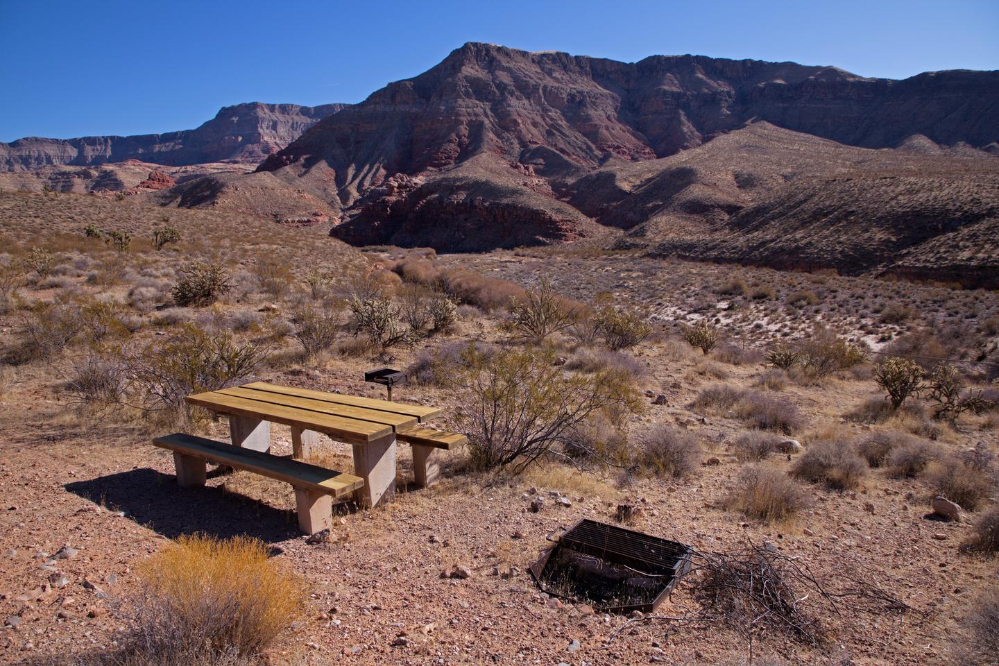 Typical Site overlooking the Paiute Wilderness