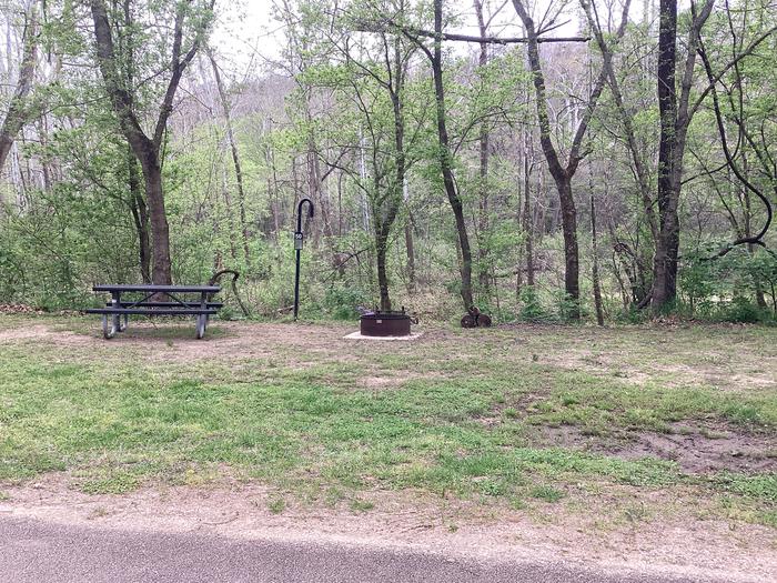 A photo of Site 050 of Loop Sites 31-55 at PULLTITE with Picnic Table, Fire Pit, Lantern Pole