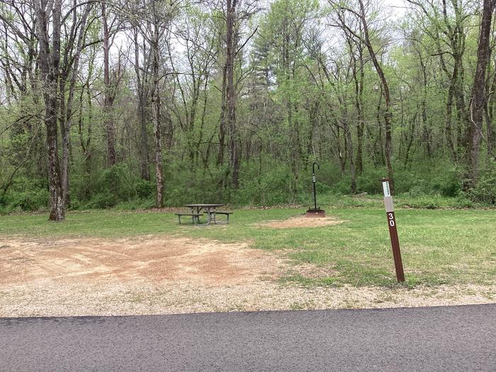 A photo of Site 030 of Loop Sites 16-30 at PULLTITE with Picnic Table, Fire Pit, Lantern Pole