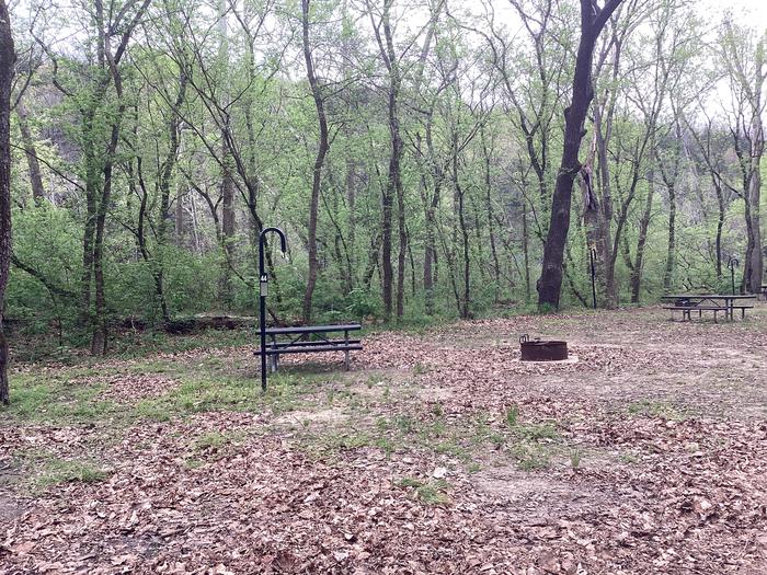 A photo of Site 044 of Loop Sites 31-55 at PULLTITE with Picnic Table, Fire Pit, Lantern Pole