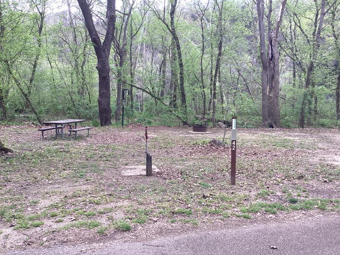A photo of Site 042 of Loop Sites 31-55 at PULLTITE with Picnic Table, Fire Pit, Lantern Pole