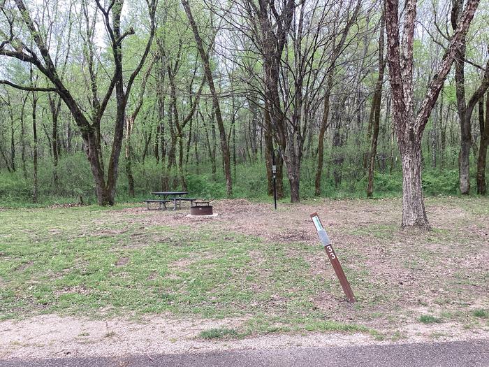 A photo of Site 033 of Loop Sites 31-55 at PULLTITE with Picnic Table, Fire Pit, Shade, Lantern Pole