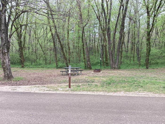 A photo of Site 037 of Loop Sites 31-55 at PULLTITE with Picnic Table, Fire Pit, Lantern Pole