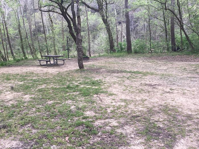 A photo of Site 046 of Loop Sites 31-55 at PULLTITE with Picnic Table, Fire Pit, Shade, Lantern Pole