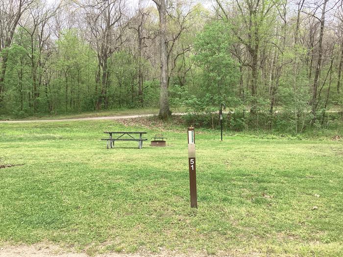 A photo of Site 051 of Loop Sites 31-55 at PULLTITE with Picnic Table, Fire Pit, Lantern Pole