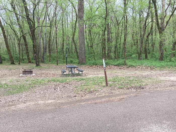 A photo of Site 043 of Loop Sites 31-55 at PULLTITE with Picnic Table, Fire Pit, Lantern Pole
