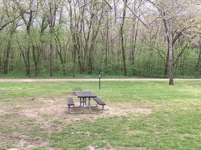 A photo of Site 047 of Loop Sites 31-55 at PULLTITE with Picnic Table, Fire Pit, Lantern Pole