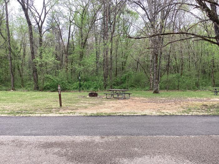 A photo of Site 029 of Loop Sites 16-30 at PULLTITE with Picnic Table, Fire Pit, Lantern Pole