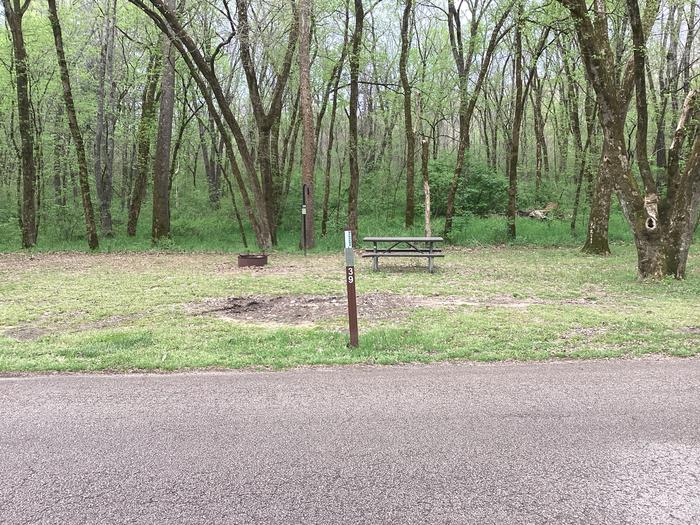 A photo of Site 039 of Loop Sites 31-55 at PULLTITE with Picnic Table, Fire Pit, Shade, Lantern Pole