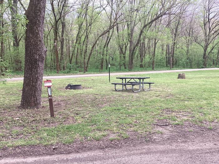 A photo of Site 045 of Loop Sites 31-55 at PULLTITE with Picnic Table, Fire Pit, Lantern Pole