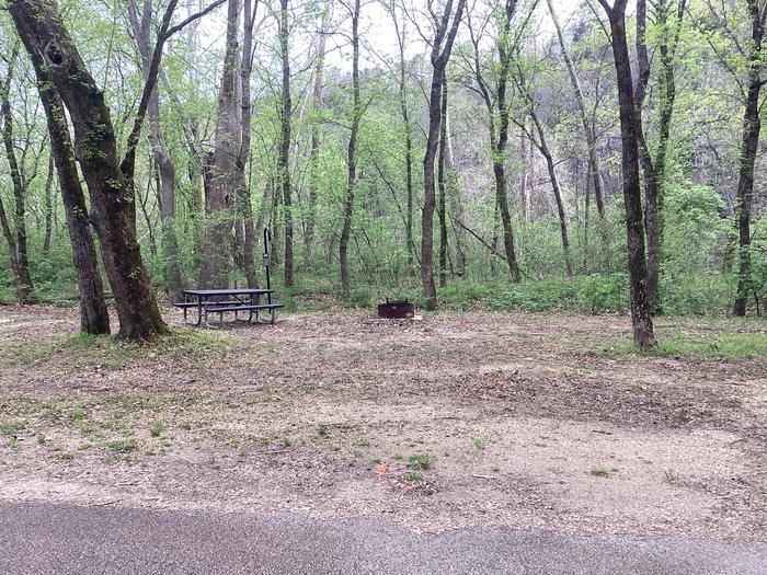 A photo of Site 040 of Loop Sites 31-55 at PULLTITE with Picnic Table, Fire Pit, Lantern Pole
