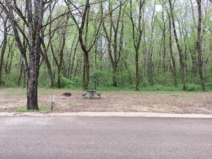 A photo of Site 035 of Loop Sites 31-55 at PULLTITE with Picnic Table, Fire Pit, Shade, Lantern Pole