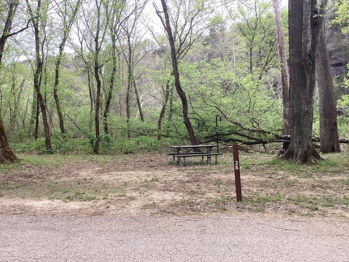 A photo of Site 038 of Loop Sites 31-55 at PULLTITE with Picnic Table, Fire Pit, Lantern Pole