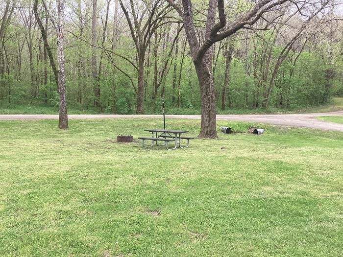 A photo of Site 049 of Loop Sites 31-55 at PULLTITE with Picnic Table, Fire Pit, Lantern Pole