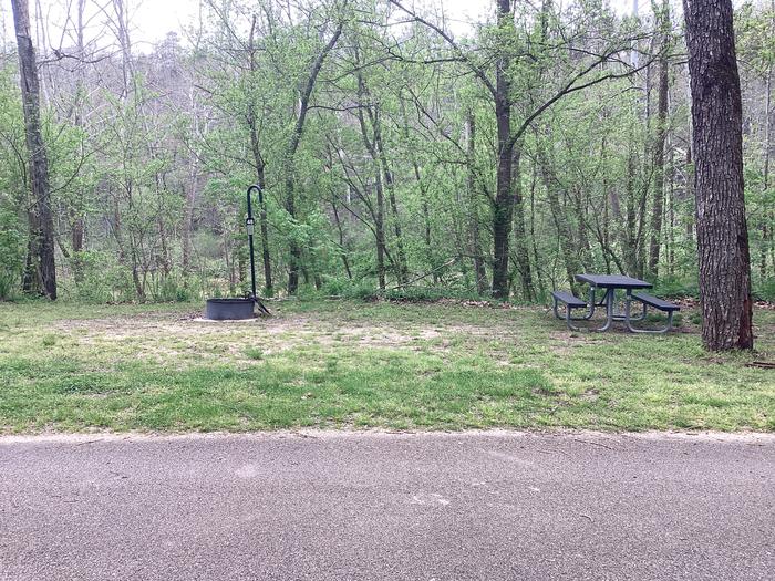 A photo of Site 048 of Loop Sites 31-55 at PULLTITE with Picnic Table, Fire Pit, Lantern Pole