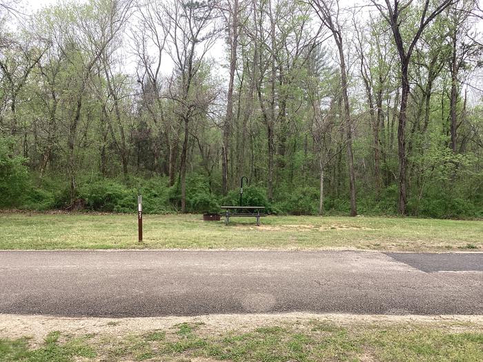 A photo of Site 027 of Loop Sites 16-30 at PULLTITE with Picnic Table, Fire Pit, Lantern Pole