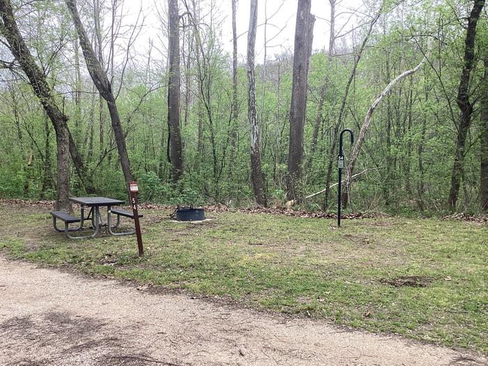 A photo of Site 054 of Loop Sites 31-55 at PULLTITE with Picnic Table, Fire Pit, Lantern Pole
