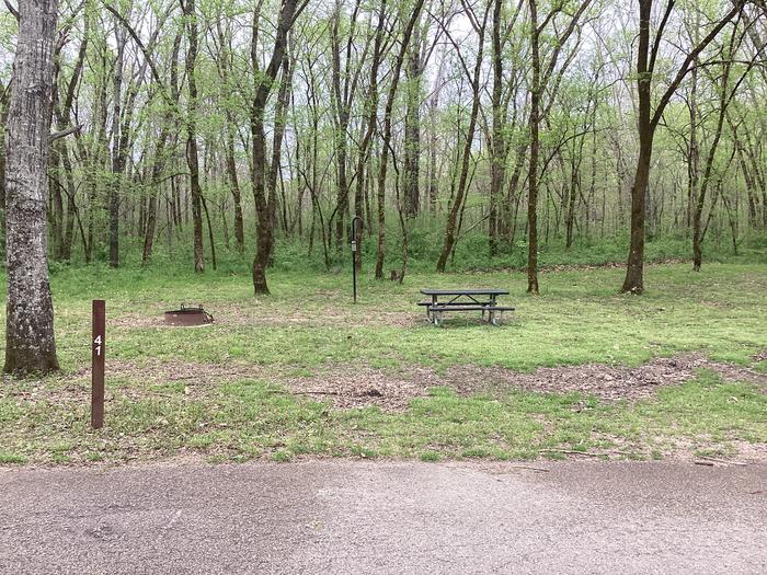 A photo of Site 041 of Loop Sites 31-55 at PULLTITE with Picnic Table, Fire Pit, Shade, Lantern Pole