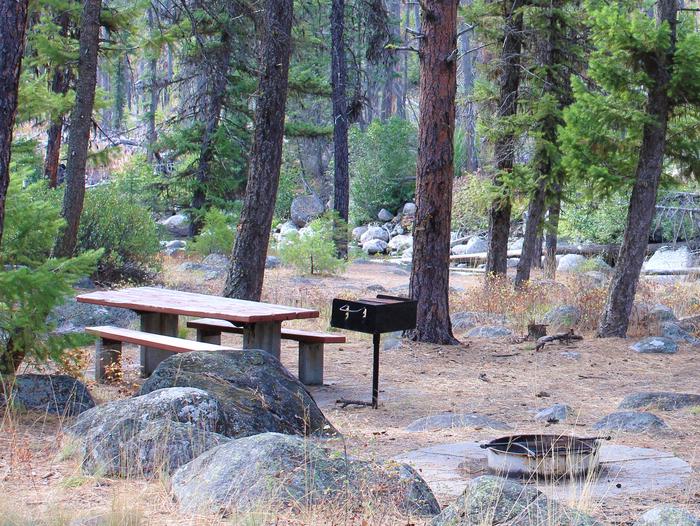 Forested campsite with picnic table, pedestal grill and fire pit. Ponderosa campground