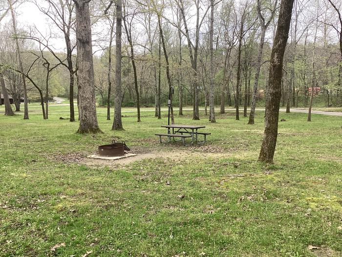A photo of Site 013 of Loop Sites 1-15 at PULLTITE with Picnic Table, Fire Pit, Shade, Lantern Pole