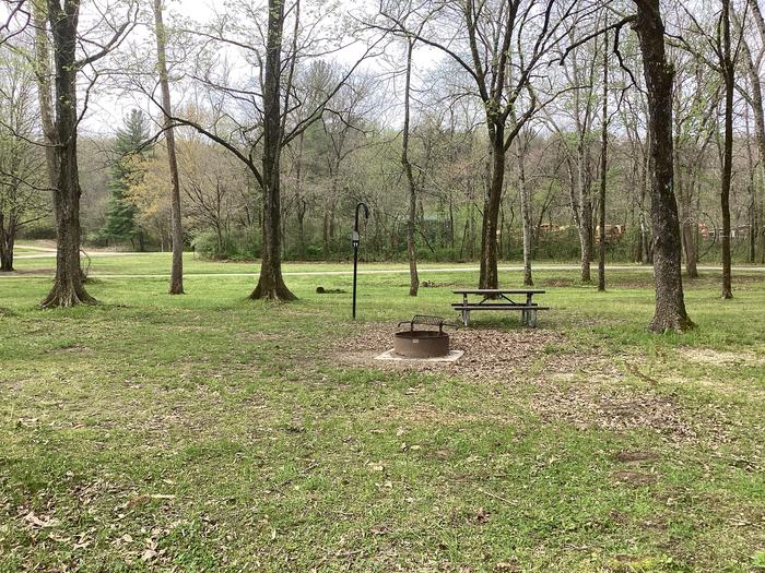 A photo of Site 011 of Loop Sites 1-15 at PULLTITE with Picnic Table, Fire Pit, Shade, Lantern Pole