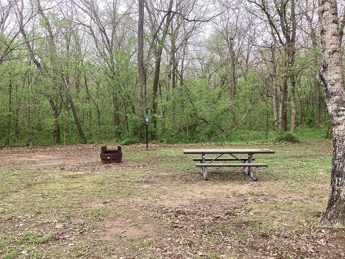 A photo of Site 015 of Loop Sites 1-15 at PULLTITE with Picnic Table, Fire Pit, Shade, Lantern Pole