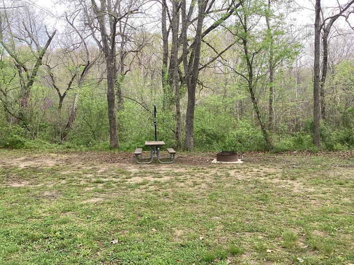 A photo of Site 014 of Loop Sites 1-15 at PULLTITE with Picnic Table, Fire Pit, Lantern Pole