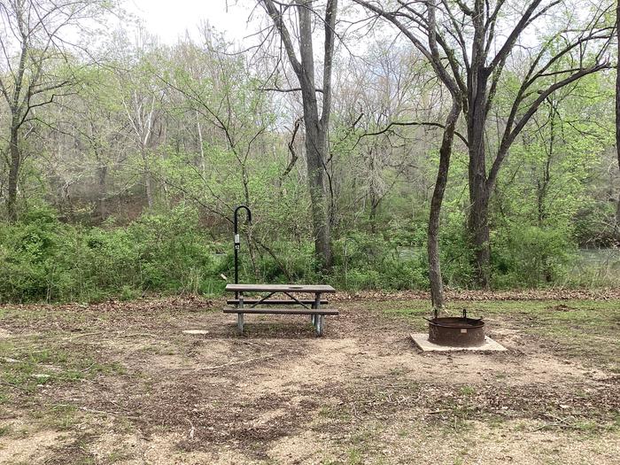 A photo of Site 012 of Loop Sites 1-15 at PULLTITE with Picnic Table, Fire Pit, Shade, Waterfront, Lantern Pole