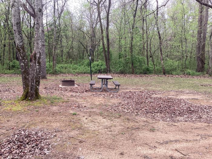 A photo of Site 020 of Loop Sites 16-30 at PULLTITE with Picnic Table, Fire Pit, Lantern Pole