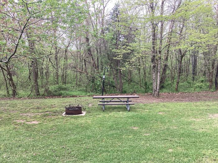 A photo of Site 017 of Loop Sites 16-30 at PULLTITE with Picnic Table, Fire Pit, Lantern Pole