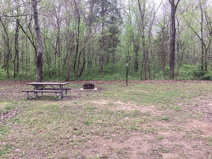 A photo of Site 019 of Loop Sites 16-30 at PULLTITE with Picnic Table, Fire Pit, Shade, Lantern Pole
