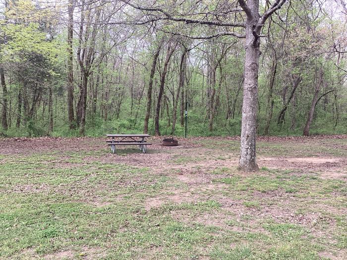 A photo of Site 018 of Loop Sites 16-30 at PULLTITE with Picnic Table, Fire Pit, Shade, Lantern Pole