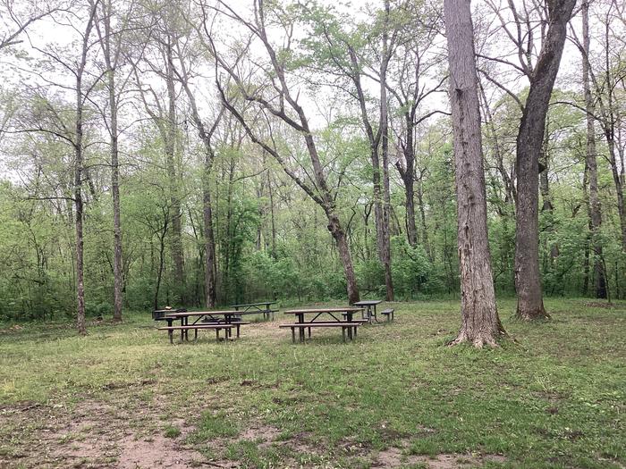 A photo of Site G01 of Loop Group Sites 1-3 at ROUND SPRING with Picnic Table, Fire Pit