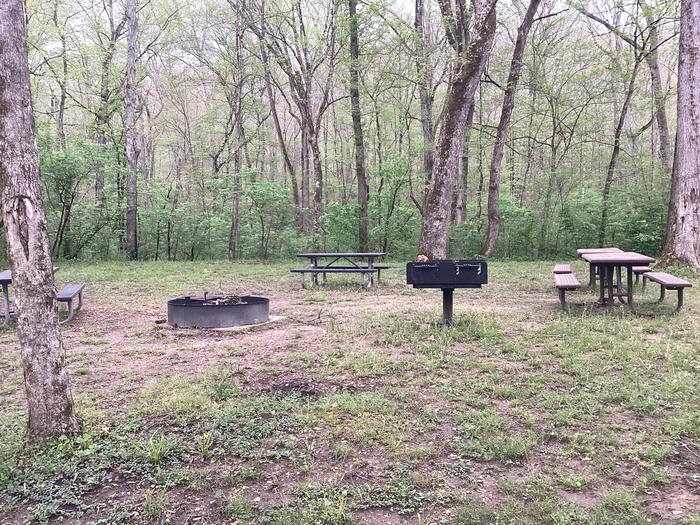 A photo of Site G01 of Loop Group Sites 1-3 at ROUND SPRING with Picnic Table, Fire Pit, Shade