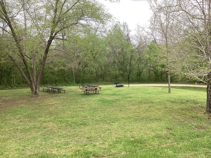 A photo of Site G04 of Loop Group Sites 4-9 at ROUND SPRING with Picnic Table, Fire Pit, Shade, Lantern Pole