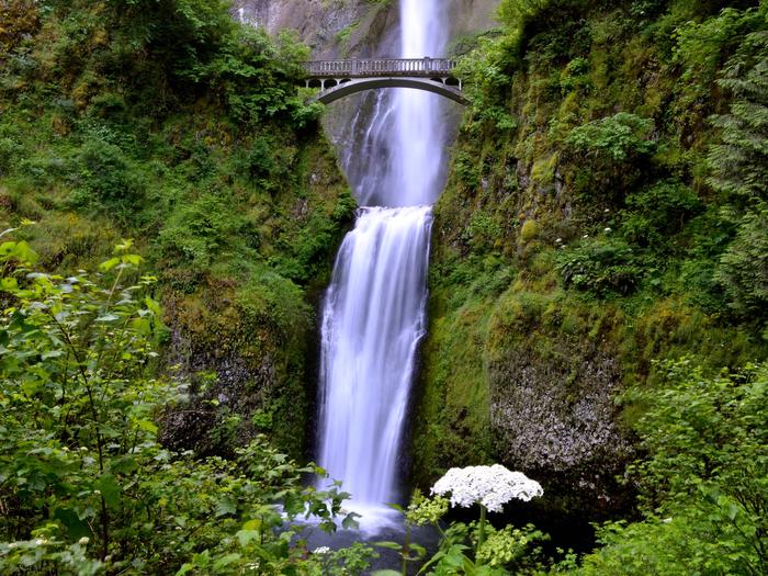 Preview photo of Multnomah Falls and Waterfall Corridor Timed Use Permits