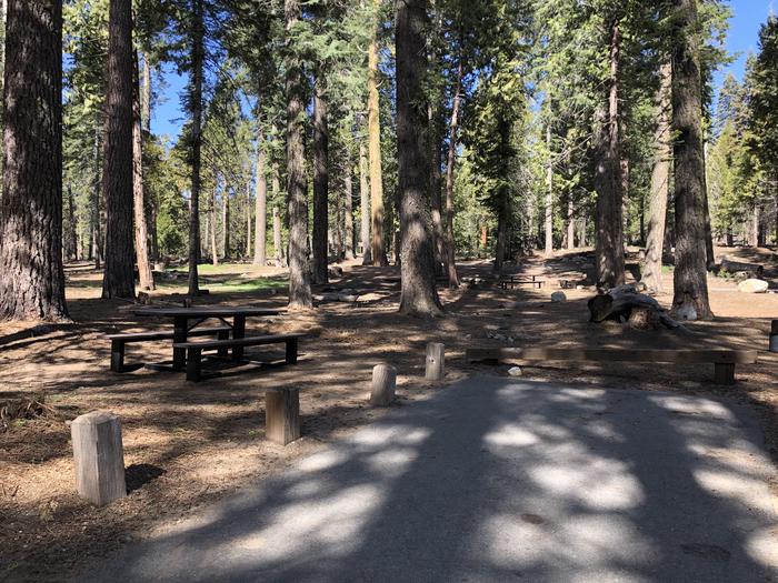 A photo of facility DINKEY CREEK with Picnic Table, Fire Pit