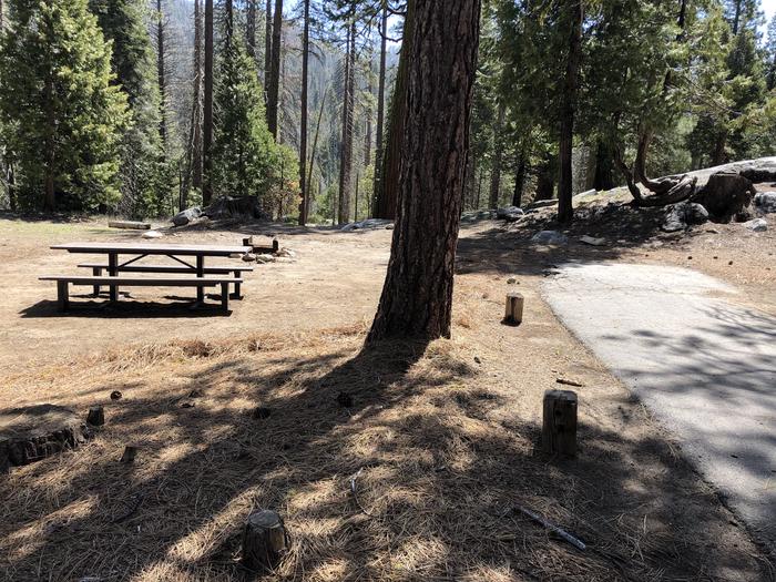 Dinkey Creek Site #58picnic table and fire pit 