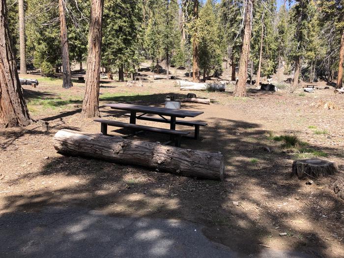 Dinkey Creek Site #76picnic table and fire pit 