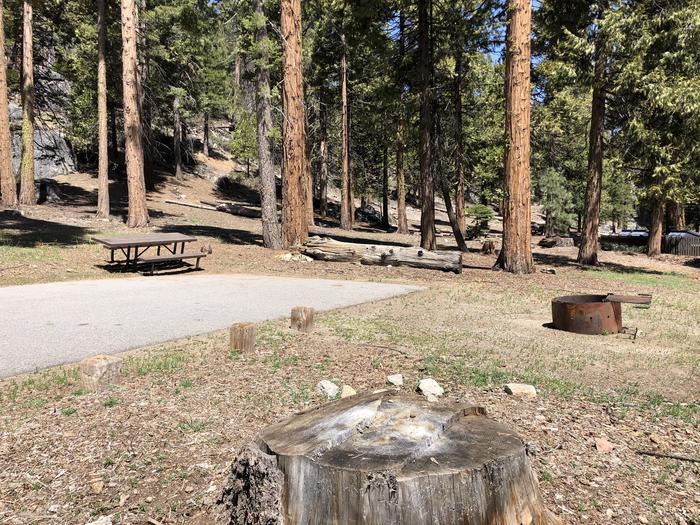 Dinkey Creek site #77picnic table and fire pit 