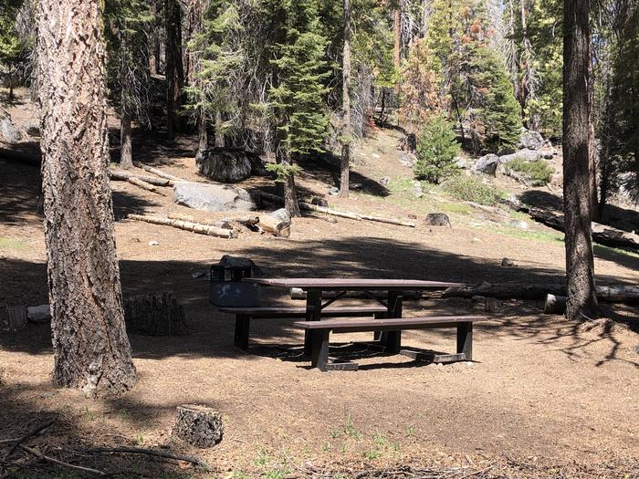 Dinkey Creek site #80 picnic table and fire pit 