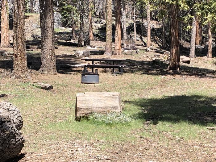 Dinkey Creek site #83picnic table and fire pit 